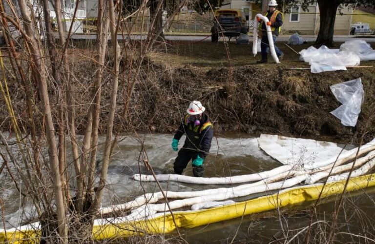Reportan al menos 45.000 animales muertos tras el descarrilamiento de un tren en Ohio