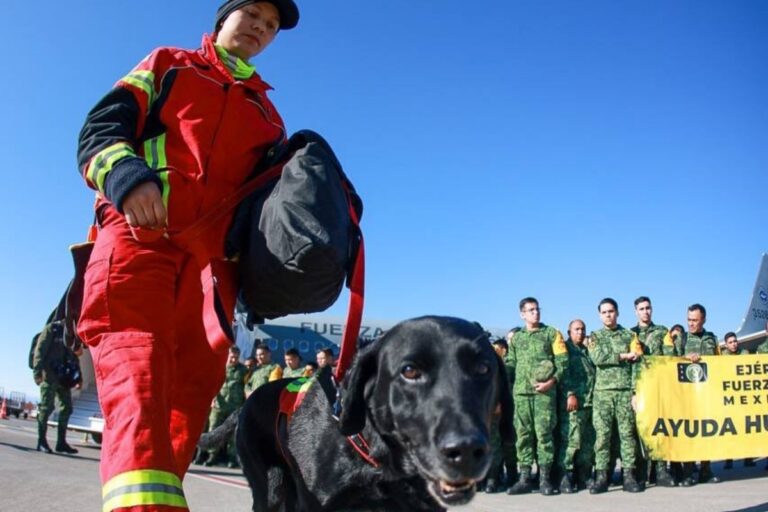 Brigadistas mexicanos rescataron 4 personas vivas y recuperaron de 37 cuerpos en Turquía reporta la Sedena