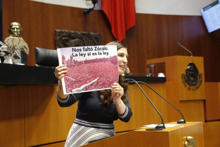 Senadora afirma que ahora la SCJN tendrá que «limpiar el cochinero» de Morena