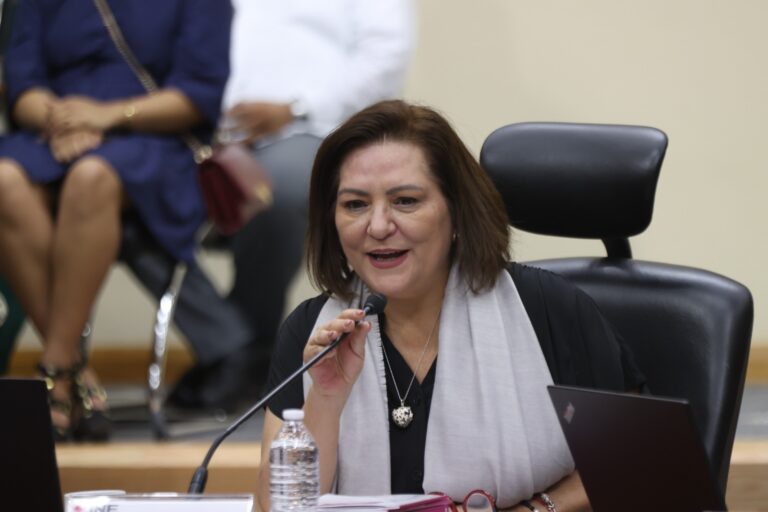 Taddei asegura que existe hoy una «oportunidad de oro» para renovar el INE