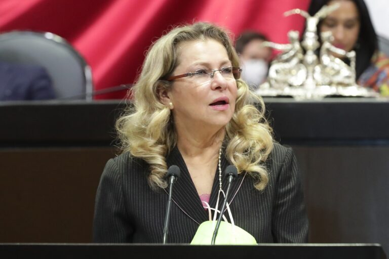 Mexiquenses quieren un cambio, afirma diputada del PAN