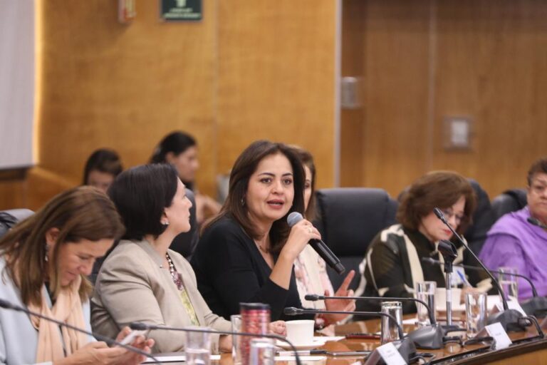 Avanza reforma para impedir que deudores alimentarios sean candidatos