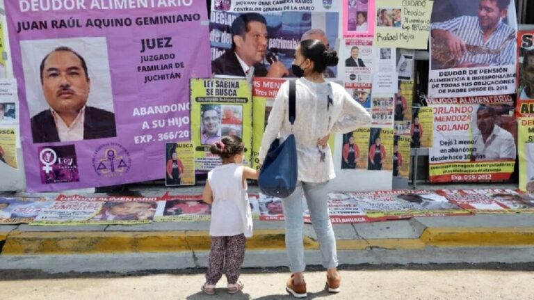 Publican Diario Oficial de la Federación Ley 3 de 3 deudores alimentarios y agresores Sexuales no podrán tener cargos públicos