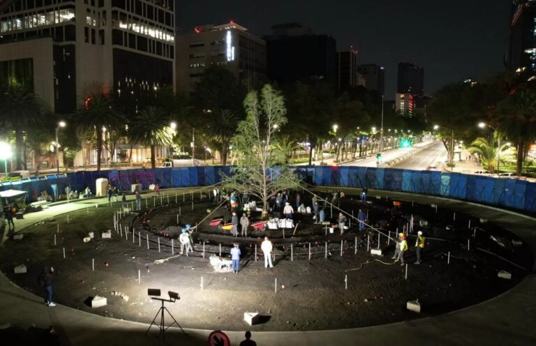 Plantan nuevo árbol de ahuehuete en Paseo de la Reforma