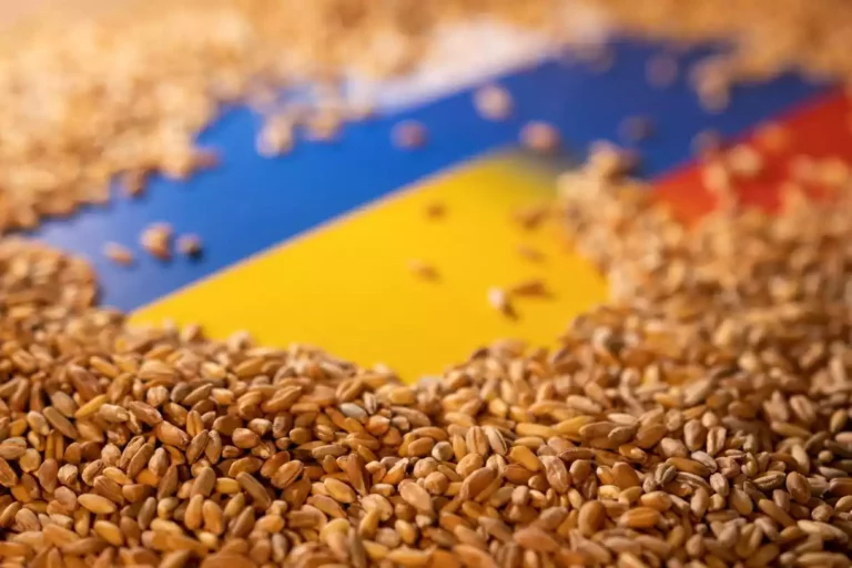 Cancelan acuerdo de exportación de cereales entre Ucrania y Rusia