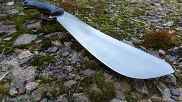 Familia pelea a machetazos por un árbol de mangos en Sinaloa