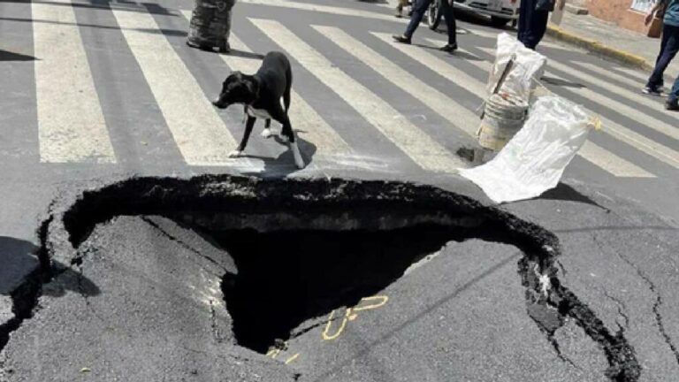 Se abre Socavón en la colonia Roma