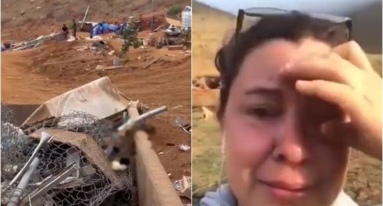 ¡No le importo! Empresa aplasta con máquina albergué con animales vivos dentro