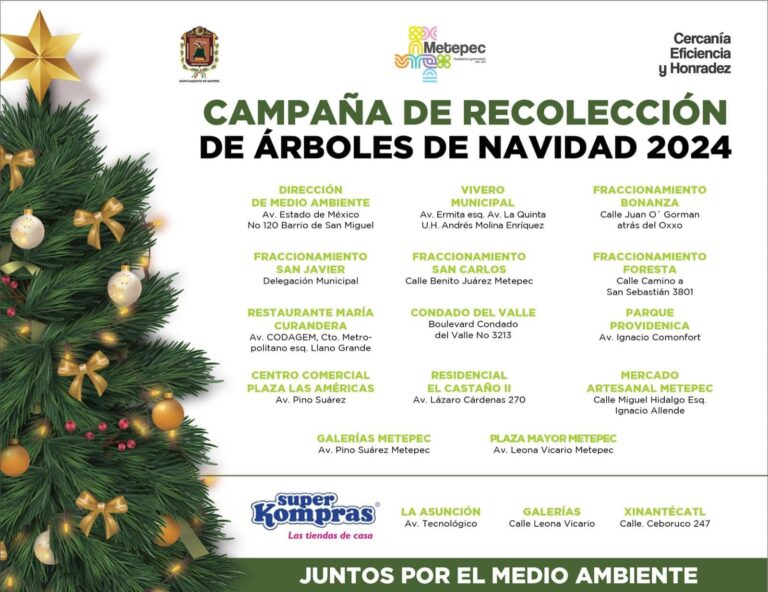 Ayuntamiento de Metepec habilita centros de acopio de árboles de navidad