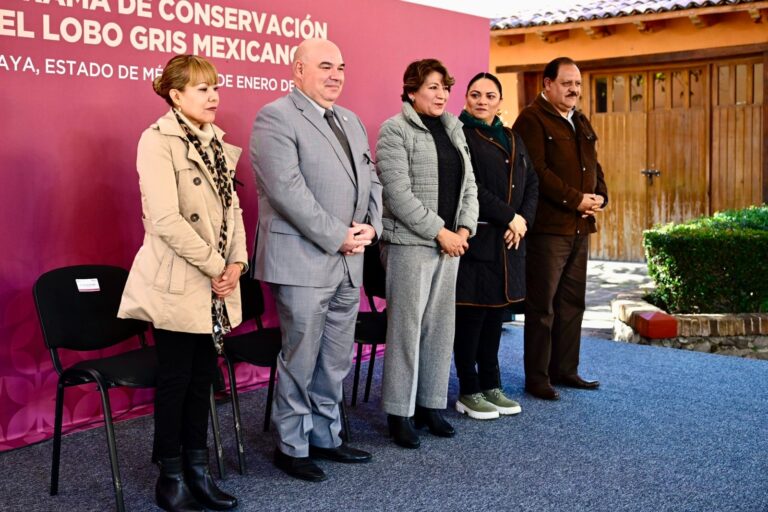 Delfina Gómez presenta plan en zoológico para la preservación del Lobo Gris Mexicano 