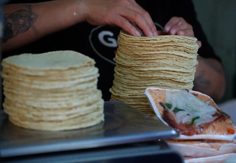 «No habrá aumento de precio de tortillas» AMLO