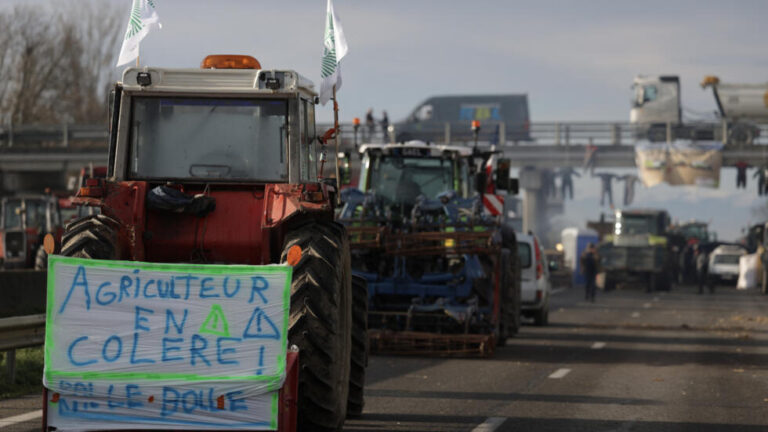 Las protestas continúan en Francia, agricultores arrojan desechos a edificios oficiales(video)