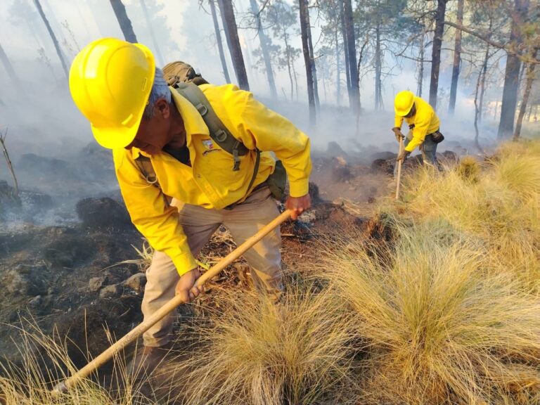 Autoridades de Zinacantepec laboran para controlar incendio en ejido de San Antonio Acahualco