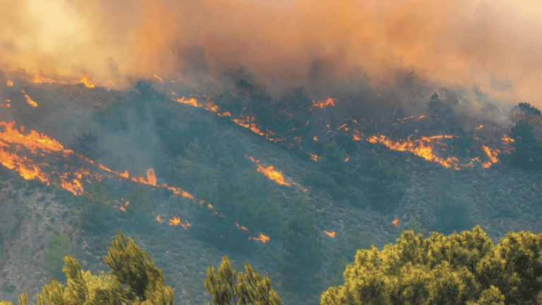 Se reportan cuatro muertos por incendios forestales en México