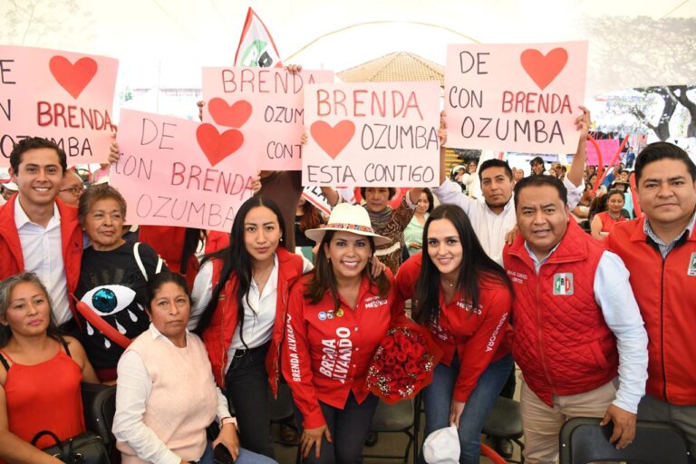 «Por una legislación seria, viable y urgente en materia de salud»: Brenda Alvarado