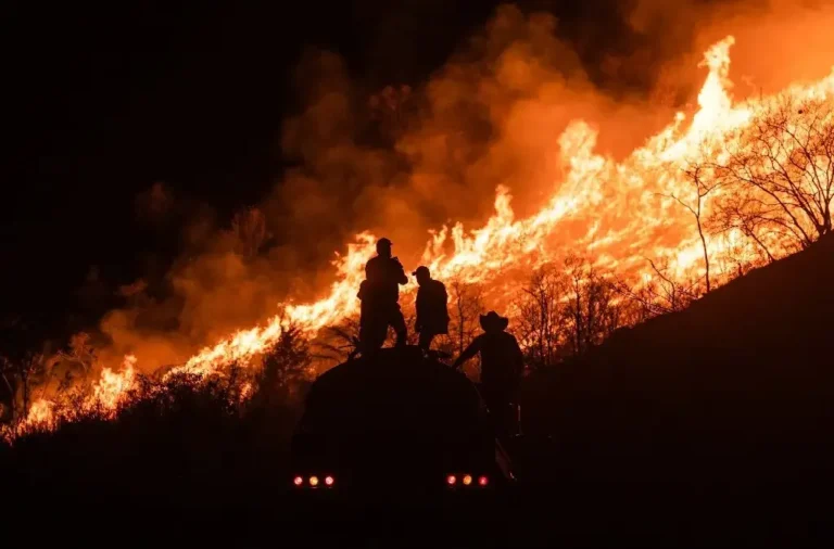 Incendio forestal en Veracruz causa preocupación (video)