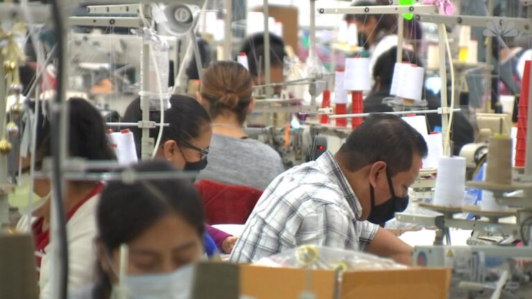 Vela GEM por los intereses laborales de las y los mexiquenses a través de la Secretaría del Trabajo