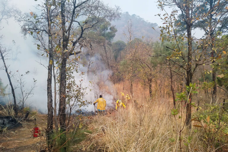 Gobierno del Estado de México despliega 154 brigadistas para combatir incendios en Valle de Bravo