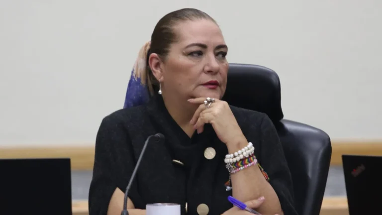 Confirma Taddei “Si Xóchitl va al mitin de ‘Marea Rosa’, INE fiscalizará”
