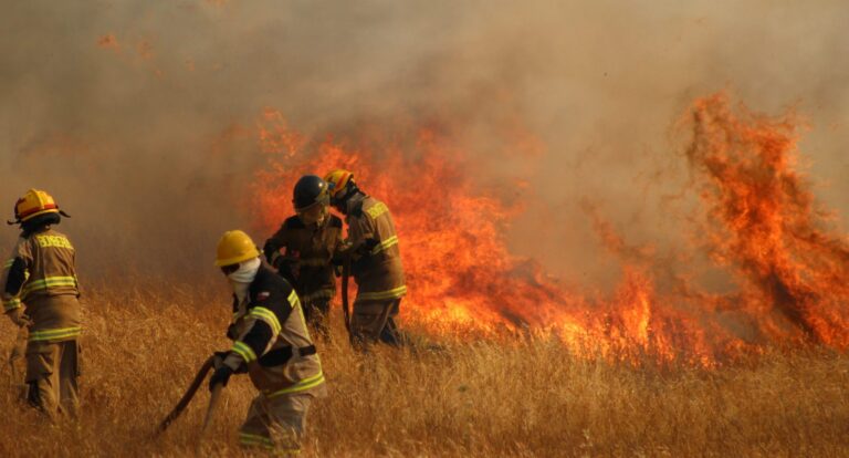 En Baja California, se quema Valle de Guadalupe, incendio forestal fuera de control (video)
