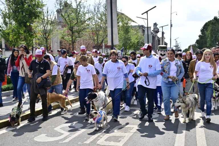 Gobernadora Delfina Gómez encabeza iniciativa por el Bienestar Animal en el Día Mundial del Perro
