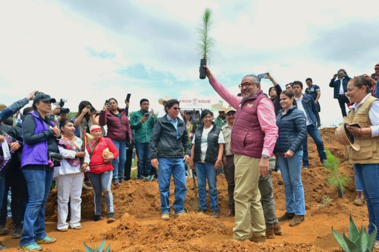 Gobierno del Estado de México implementa plan de restauración forestal