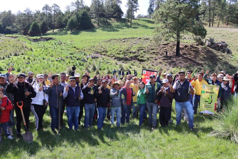 Celebró ayuntamiento de Zinacantepec jornada de reforestación