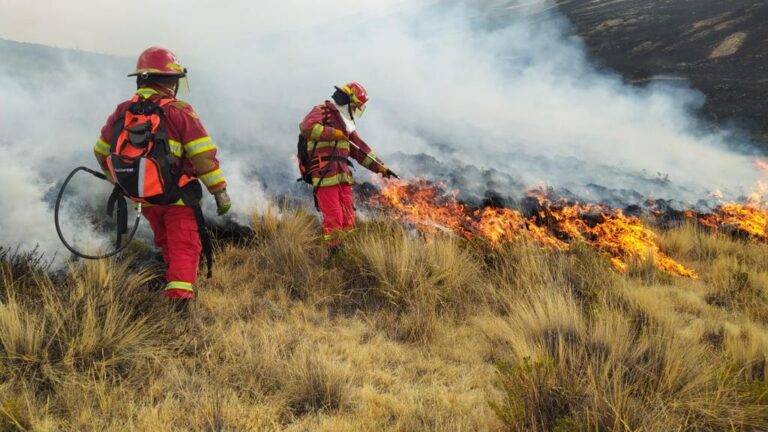Perú declara emergencia por incendios forestales que arrasan la Amazonía