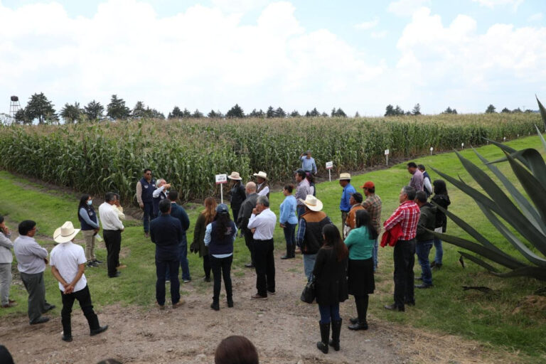 Icamex impulsa innovaciones y apoyo al campo mexiquense