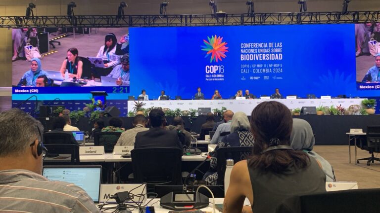 México presenta su Plan de Acción de Biodiversidad en la COP-16