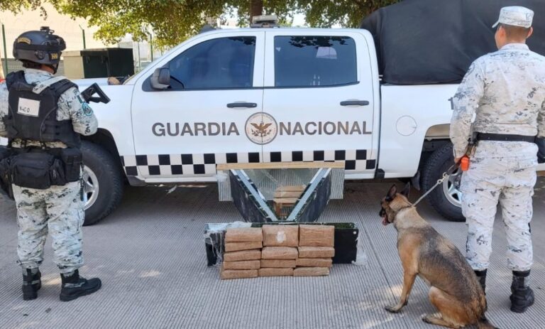 Desmantelan red de narcotráfico en Sinaloa; un herido tras explosión