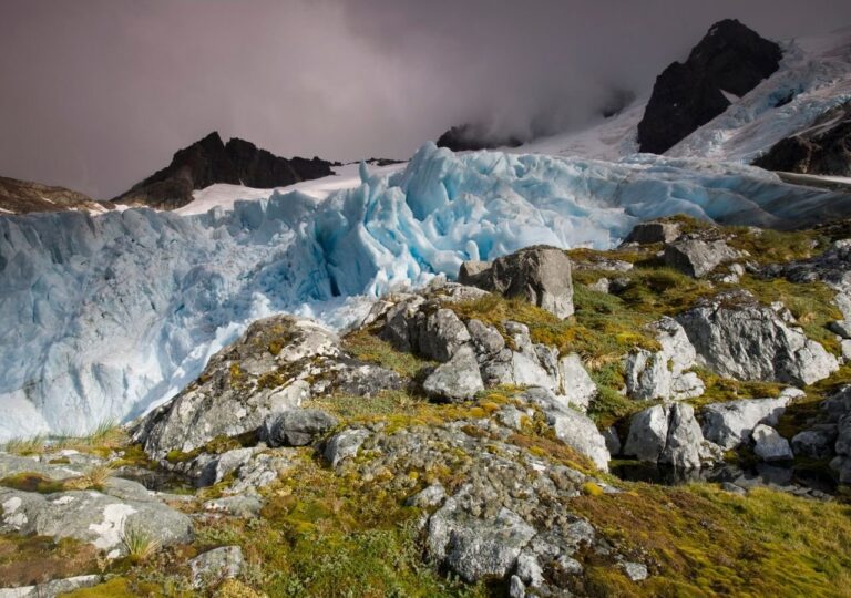 Estudio revela aumento de zonas verdes en la Antártida debido al deshielo