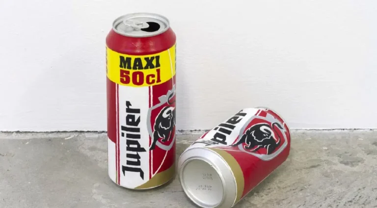 Un trabajador confundió una obra de arte con basura en un museo de Países Bajos