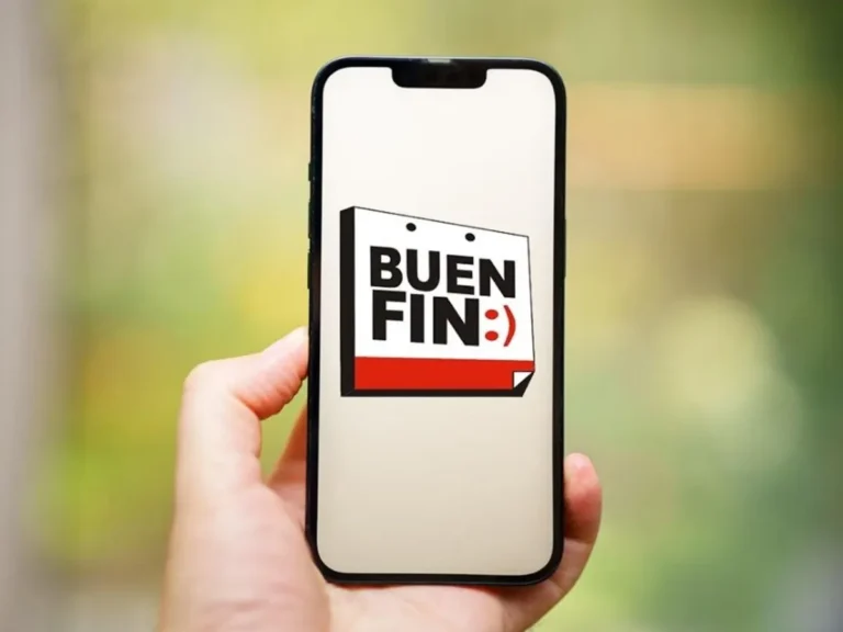 Aplicación para el Buen Fin 2024 promete facilitar la caza de ofertas