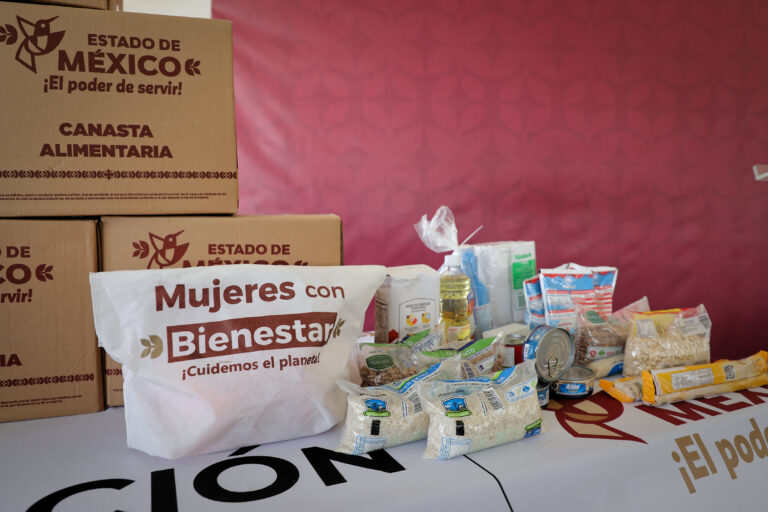 Publica Gobierno mexiquense lineamientos para la elaboración de programas sociales