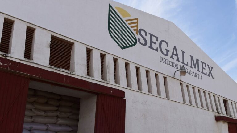 En caso de corrupción en Segalmex, revocan prisión preventiva a Alejandro Murillo