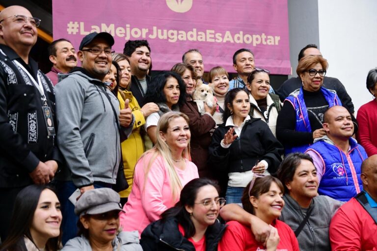 Unidos por los animales: campaña estatal beneficia a más de 33 asociaciones protectoras