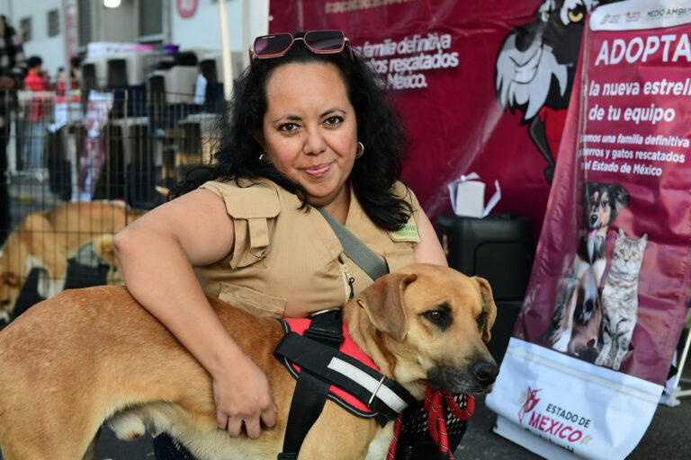 Encuentran hogar 240 lomitos y michis con el programa “Adopción Responsable”