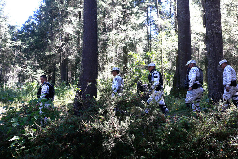 En EdoMéx refuerzan medidas contra incendios forestales y endurecen penas para responsables