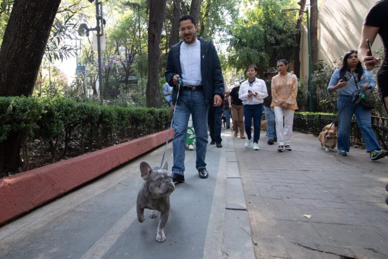 Nuevo programa en la Ciudad de México permite ‘pagar’ infracciones paseando perros rescatados