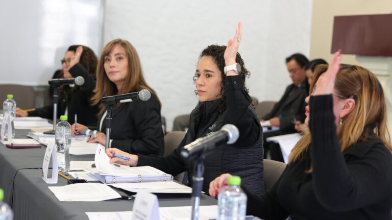 IEEM aprueba programa editorial del centro de formación y documentación electoral