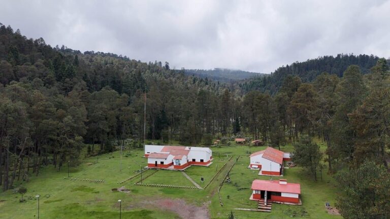 Metepec lidera certificación forestal con 77 predios avalados por el FSC