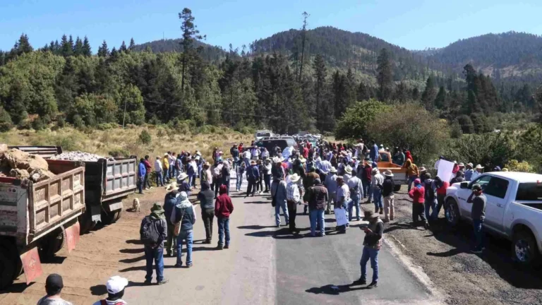 Exigen el cese de la tala ilegal que afecta el agua y bosques de Ocuilan