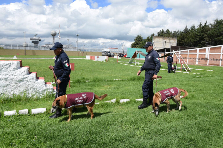 Protección y retiro digno para perros policía en el EdoMéx
