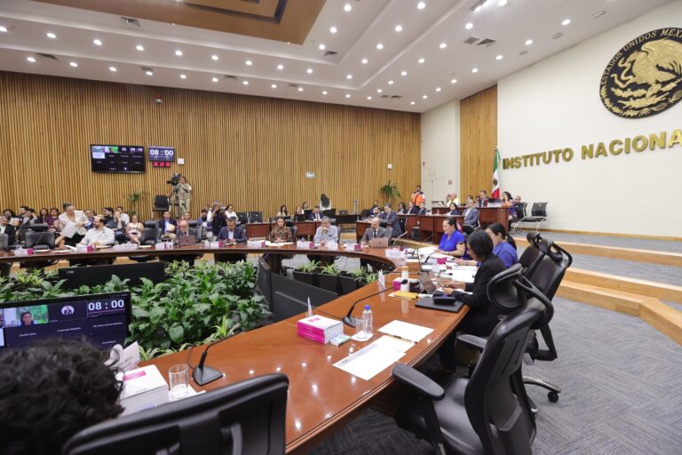 Revisará INE candidaturas al Poder Judicial de personas sentenciadas por violencia