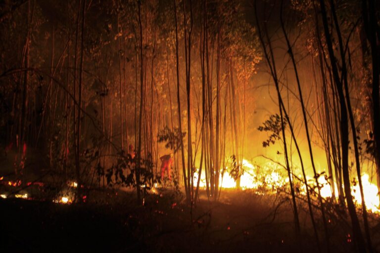 Incendio en Ocuilan, autoridades refuerzan medidas por humo tóxico