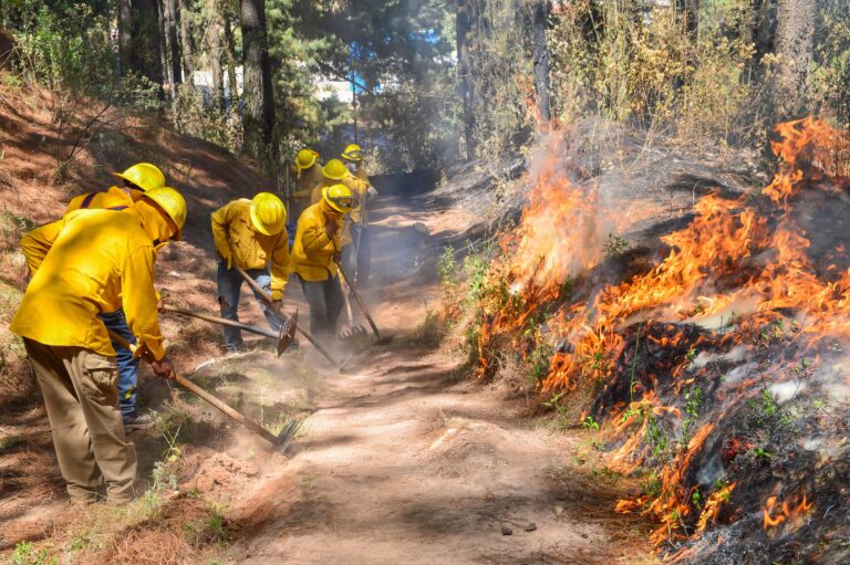 Provocar un incendio forestal en Edoméx puede costarte hasta 10 años de cárcel