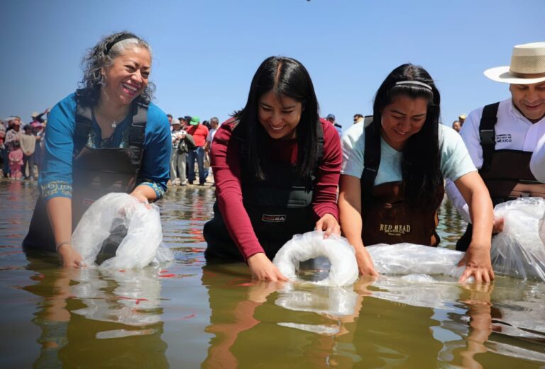 Impulsa Edoméx producción acuícola con más de un millón de crías de pescado