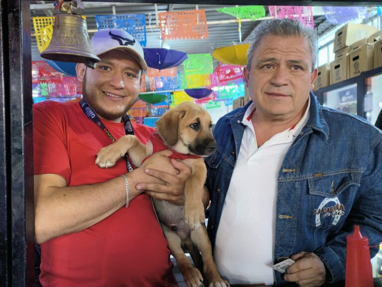 ¡Sí a la adopción responsable en EdoMéx! 300 animales encuentran un hogar