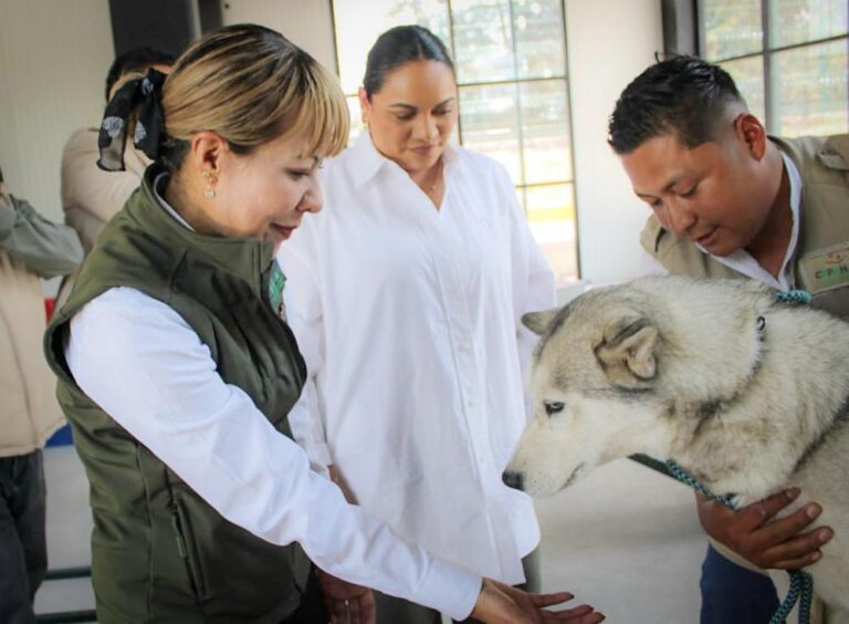 Centro de Bienestar Animal en Atlacomulco refuerza protección a mascotas